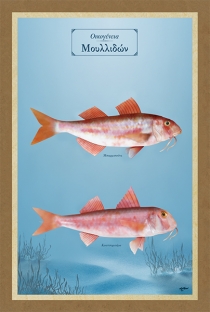 Οικογένεια Μουλλιδών - Καμβάς