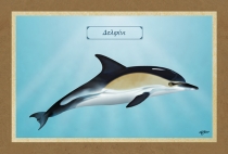 ΔΕΛΦΙΝΙ - Καμβάς