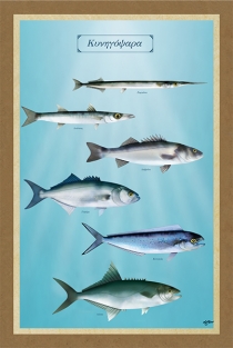 ΚΥΝΗΓΟΨΑΡΑ - Καμβάς