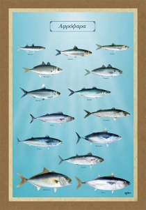 ΑΦΡΟΨΑΡΑ - Καμβάς