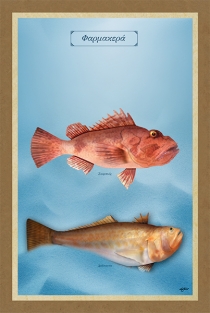 ΦΑΡΜΑΚΕΡΑ - Καμβάς