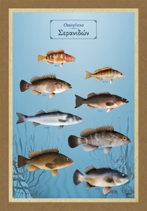 Οικογένεια Σερανιδών - Καμβάς