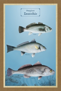 Οικογένεια Σκιαινιδών - Καμβάς