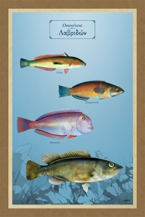 Οικογένεια Λαβριδών - Καμβάς