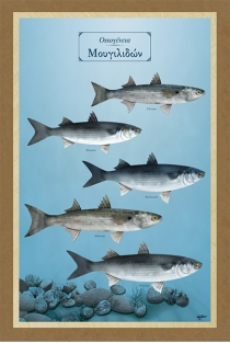 Οικογένεια Μουγιλιδών - Καμβάς