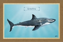 ΣΜΠΡΙΛΙΟΣ - Καμβάς