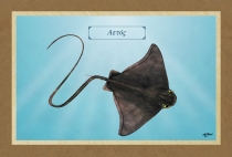 ΑΕΤΟΣ - Καμβάς